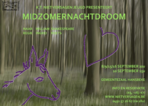 Flyer Midzomernachtdroom 2017