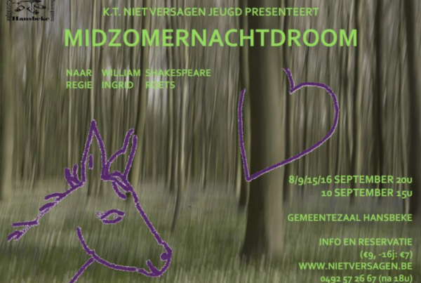 Flyer Midzomernachtdroom 2017